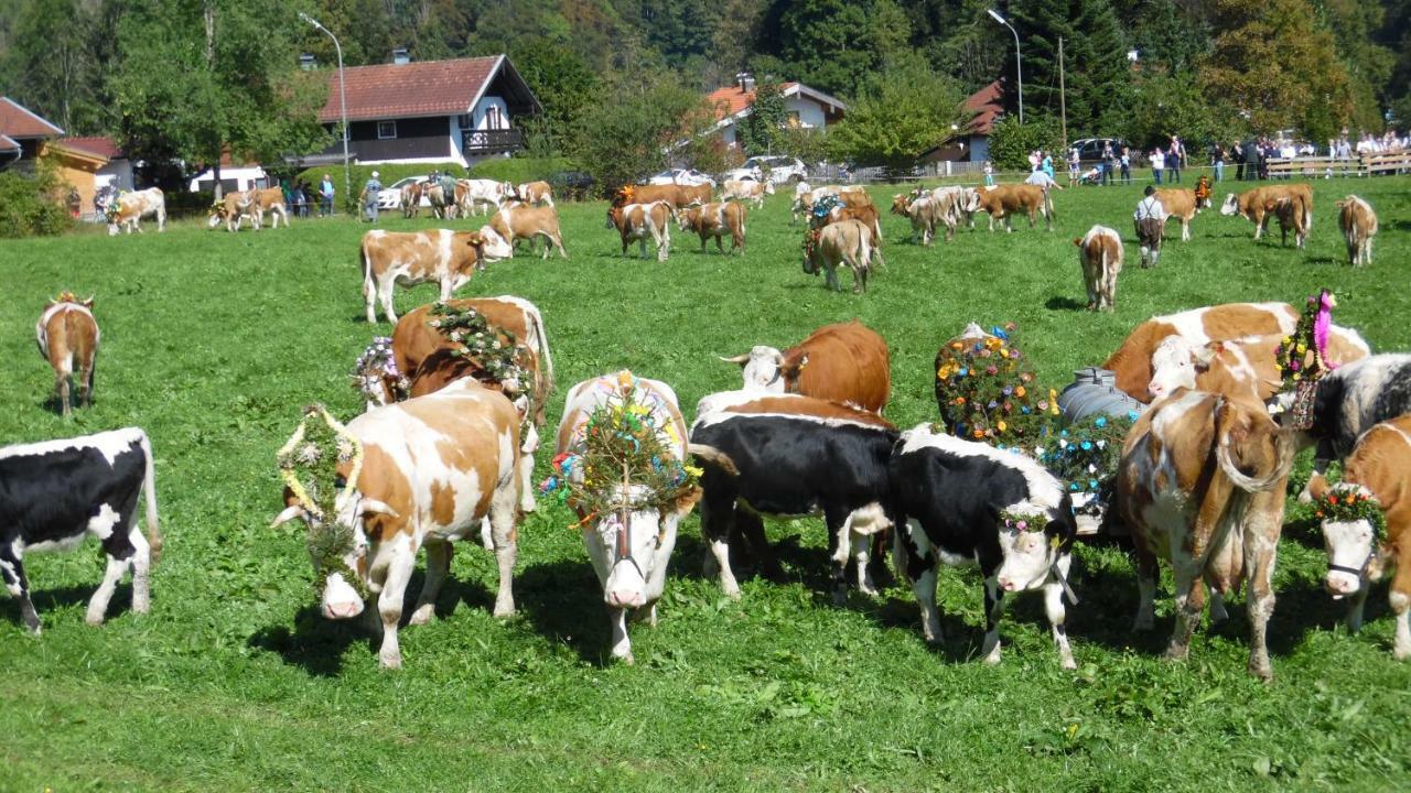 Ferienwohnung Fritzenwenger Übersee Eksteriør bilde