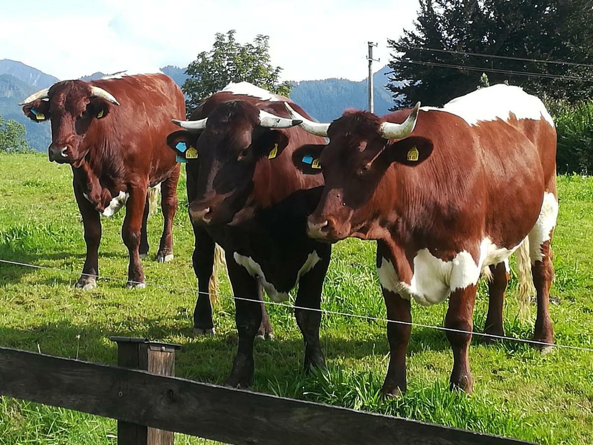 Ferienwohnung Fritzenwenger Übersee Eksteriør bilde